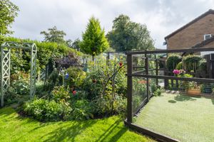 Rear garden allotment - click for photo gallery